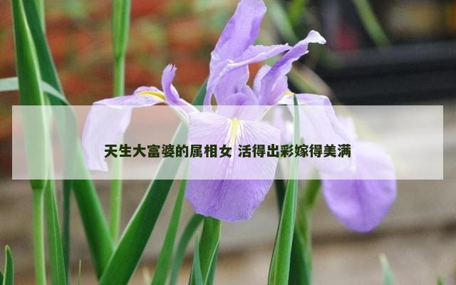 天生大富婆的属相女 活得出彩嫁得美满