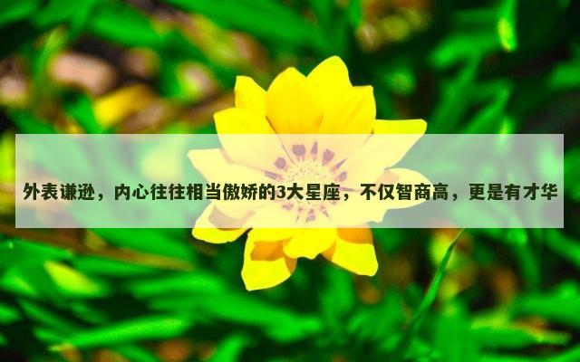 外表谦逊，内心往往相当傲娇的3大星座，不仅智商高，更是有才华