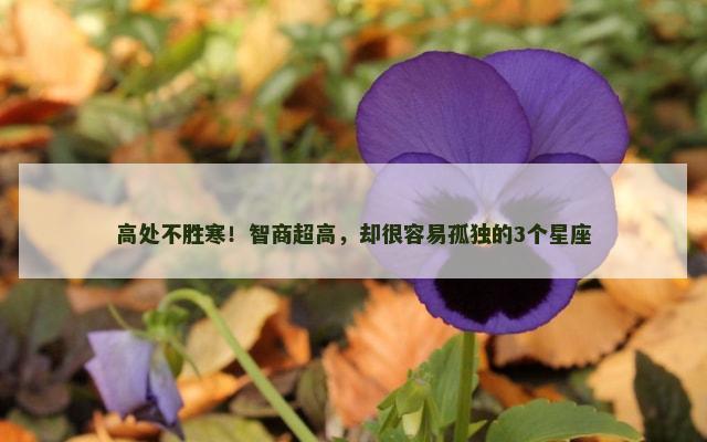 高处不胜寒！智商超高，却很容易孤独的3个星座