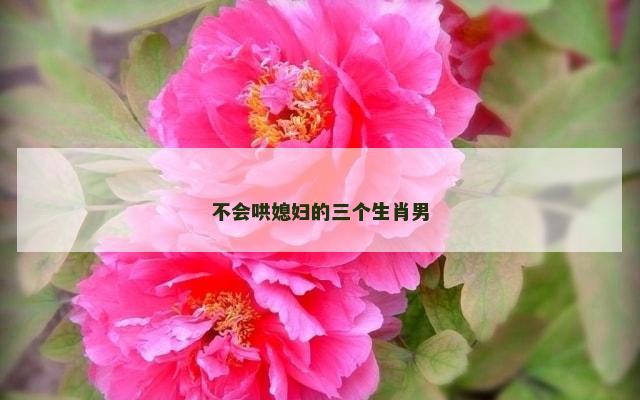 不会哄媳妇的三个生肖男