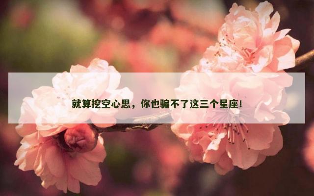 就算挖空心思，你也骗不了这三个星座！