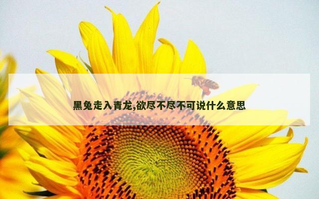 黑兔走入青龙,欲尽不尽不可说什么意思