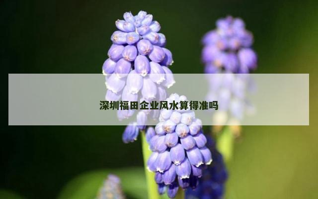 深圳福田企业风水算得准吗