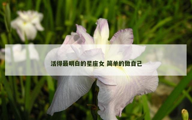 活得最明白的星座女 简单的做自己