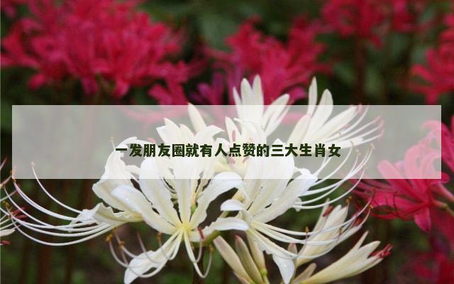 一发朋友圈就有人点赞的三大生肖女