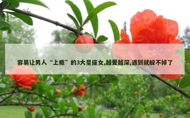 容易让男人“上瘾”的3大星座女,越爱越深,遇到就躲不掉了