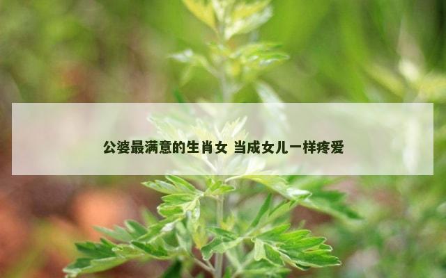 公婆最满意的生肖女 当成女儿一样疼爱