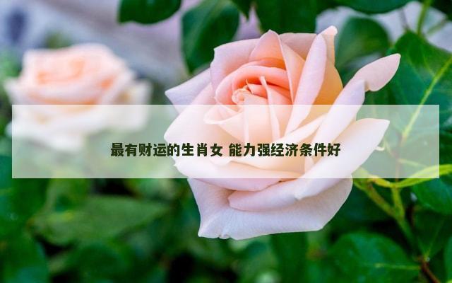 最有财运的生肖女 能力强经济条件好