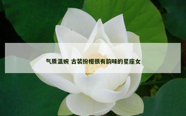 气质温婉 古装扮相很有韵味的星座女