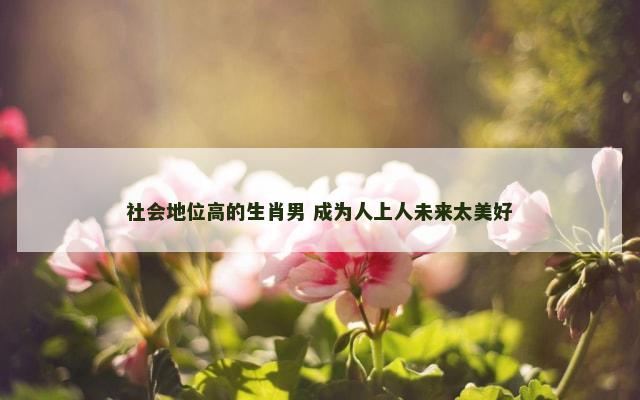 社会地位高的生肖男 成为人上人未来太美好