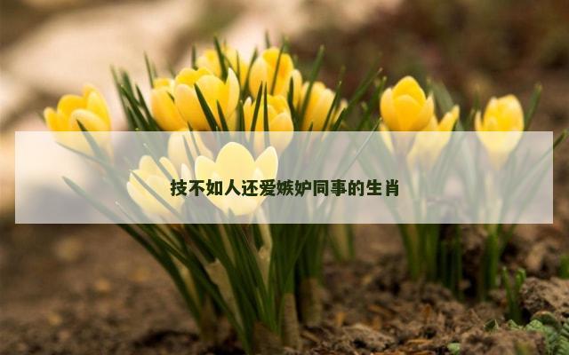 技不如人还爱嫉妒同事的生肖