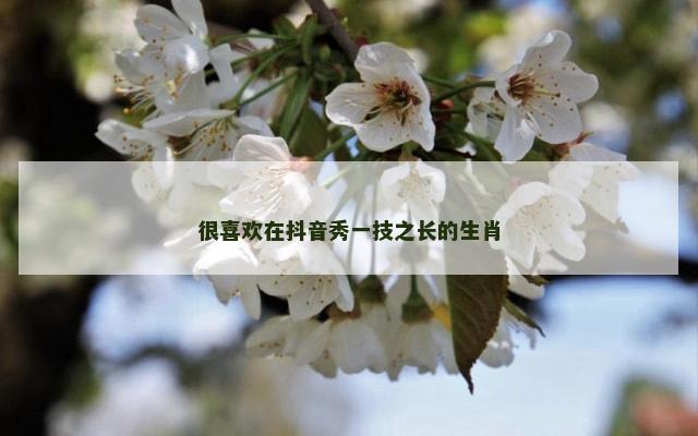 很喜欢在抖音秀一技之长的生肖