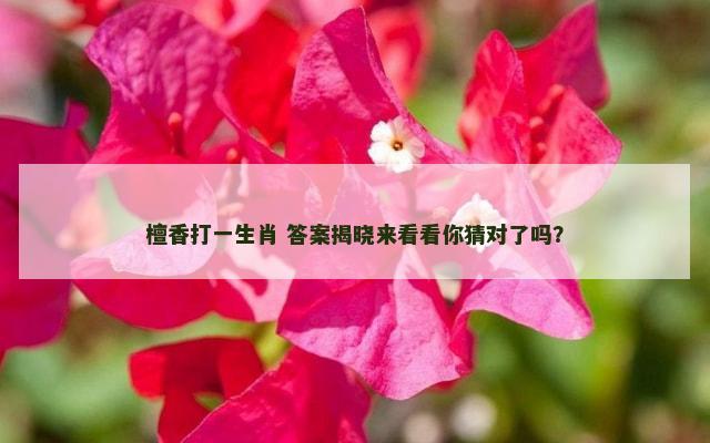 檀香打一生肖 答案揭晓来看看你猜对了吗？
