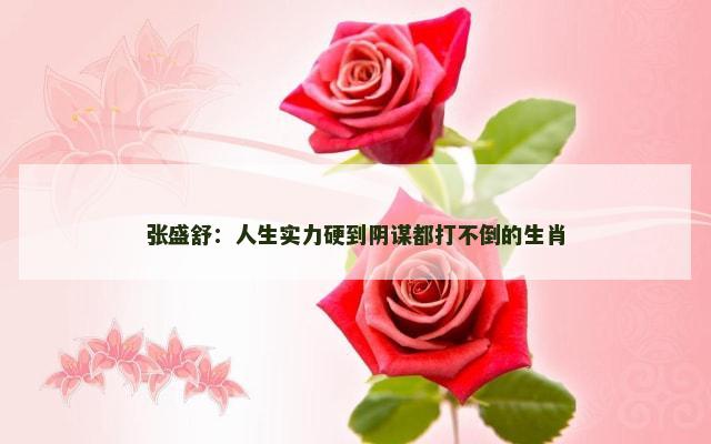 张盛舒：人生实力硬到阴谋都打不倒的生肖