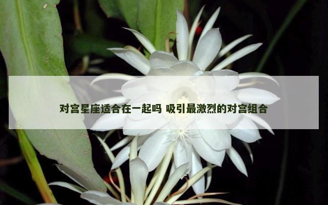 对宫星座适合在一起吗 吸引最激烈的对宫组合