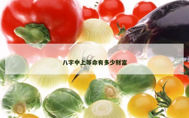 八字中上等命有多少财富