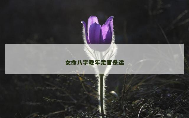 女命八字晚年走官杀运