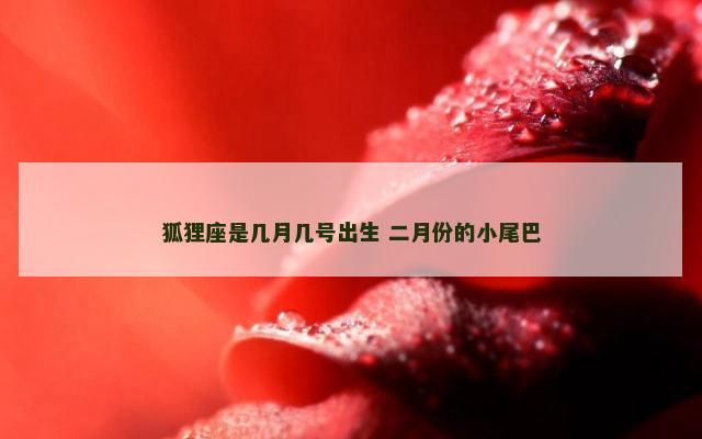 狐狸座是几月几号出生 二月份的小尾巴