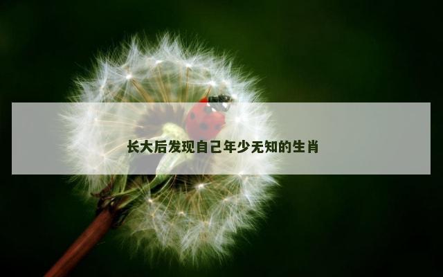 长大后发现自己年少无知的生肖