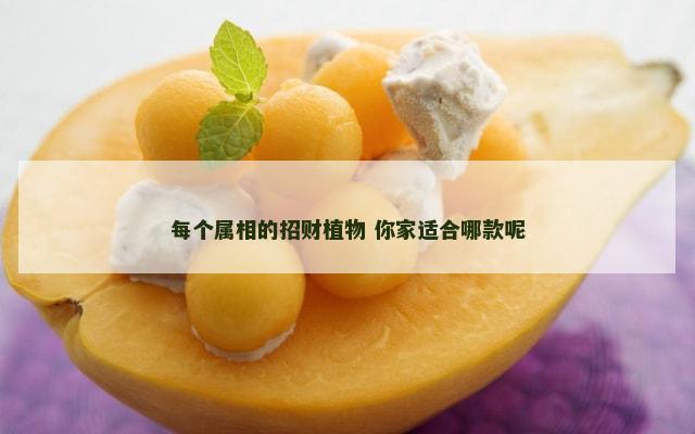 每个属相的招财植物 你家适合哪款呢