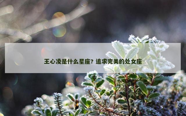 王心凌是什么星座? 追求完美的处女座