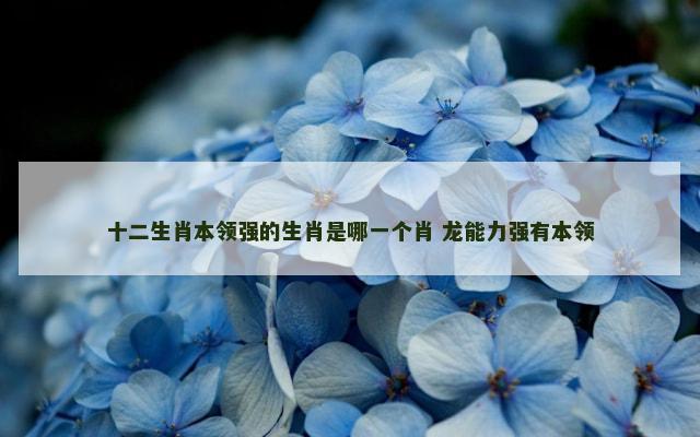 十二生肖本领强的生肖是哪一个肖 龙能力强有本领