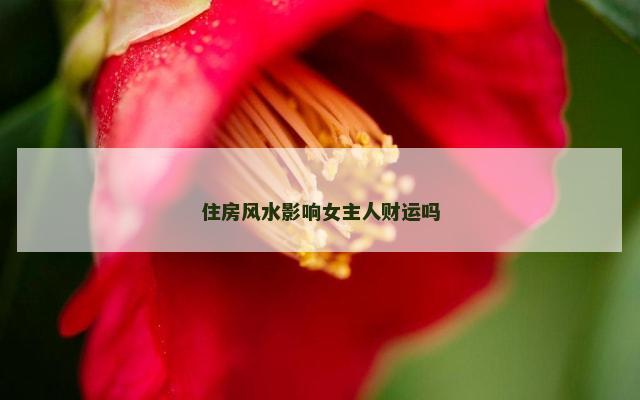 住房风水影响女主人财运吗
