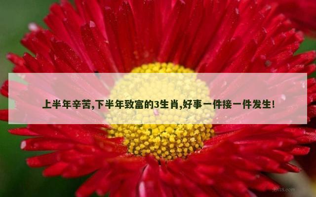 上半年辛苦,下半年致富的3生肖,好事一件接一件发生!