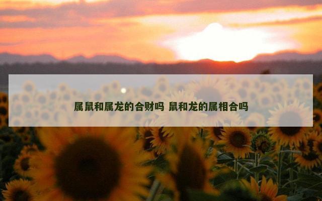 属鼠和属龙的合财吗 鼠和龙的属相合吗