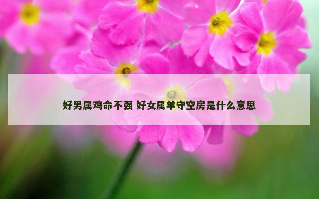 好男属鸡命不强 好女属羊守空房是什么意思