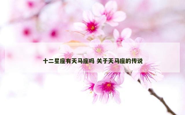 十二星座有天马座吗 关于天马座的传说