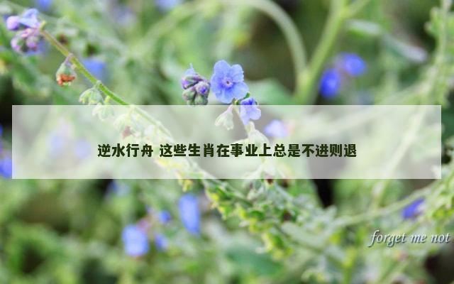 逆水行舟 这些生肖在事业上总是不进则退