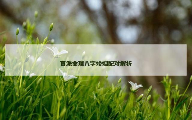 盲派命理八字婚姻配对解析