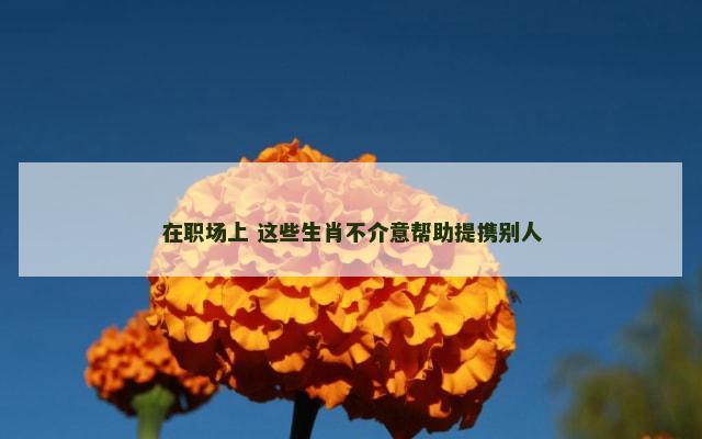 在职场上 这些生肖不介意帮助提携别人