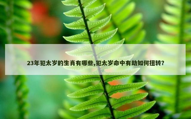 23年犯太岁的生肖有哪些,犯太岁命中有劫如何扭转？