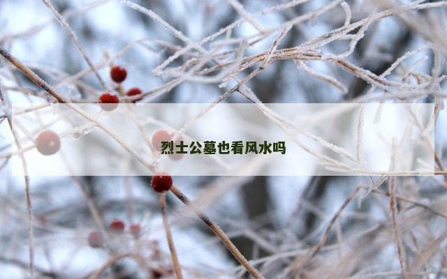 烈士公墓也看风水吗