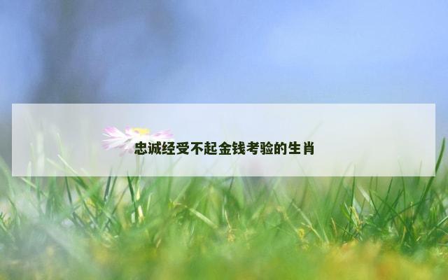 忠诚经受不起金钱考验的生肖