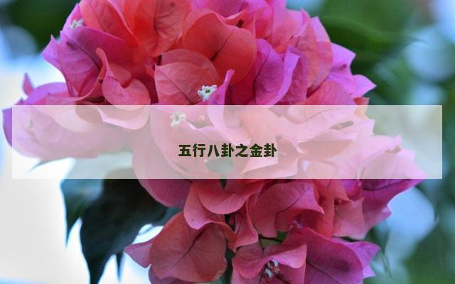 五行八卦之金卦
