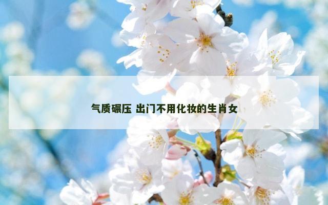 气质碾压 出门不用化妆的生肖女