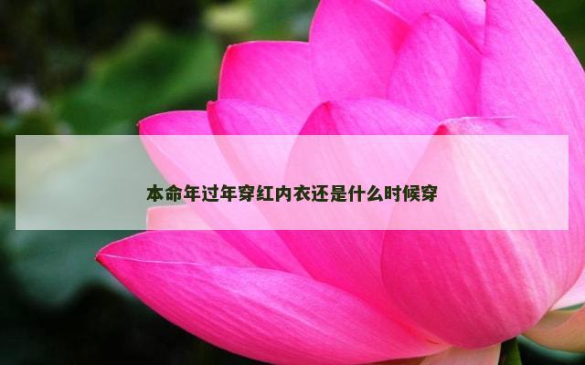 本命年过年穿红内衣还是什么时候穿