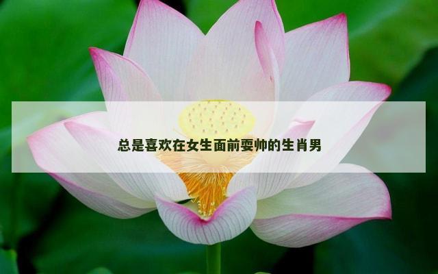 总是喜欢在女生面前耍帅的生肖男