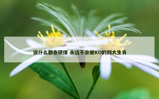 说什么都会硬撑 永远不会被KO的四大生肖