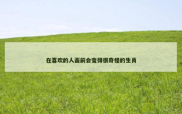 在喜欢的人面前会变得很奇怪的生肖