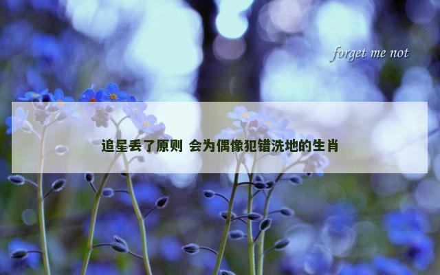 追星丢了原则 会为偶像犯错洗地的生肖