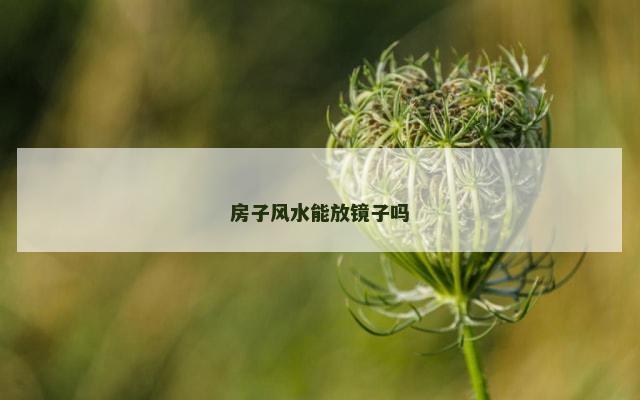 房子风水能放镜子吗