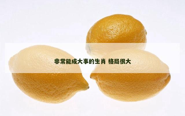 非常能成大事的生肖 格局很大
