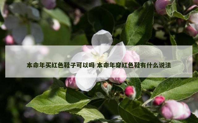 本命年买红色鞋子可以吗 本命年穿红色鞋有什么说法
