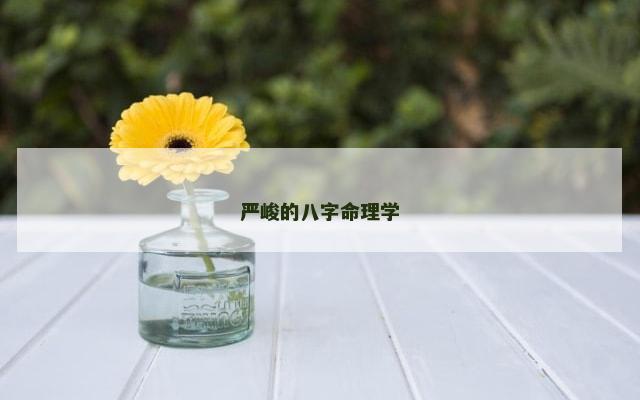 严峻的八字命理学