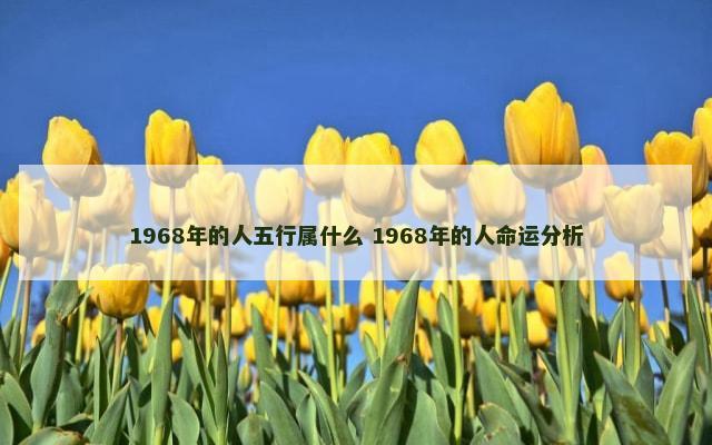 1968年的人五行属什么 1968年的人命运分析