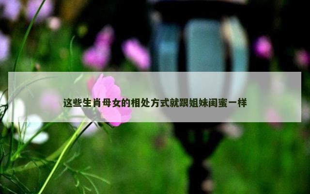 这些生肖母女的相处方式就跟姐妹闺蜜一样